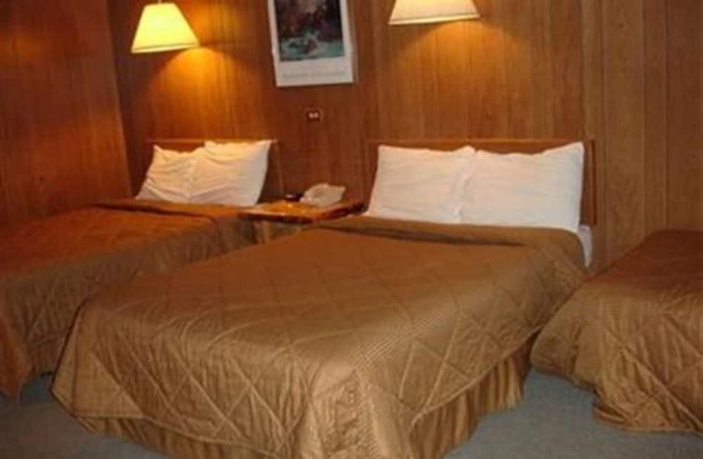 Standard Room (Pet Friendly), 3 Beds, Ground Floor