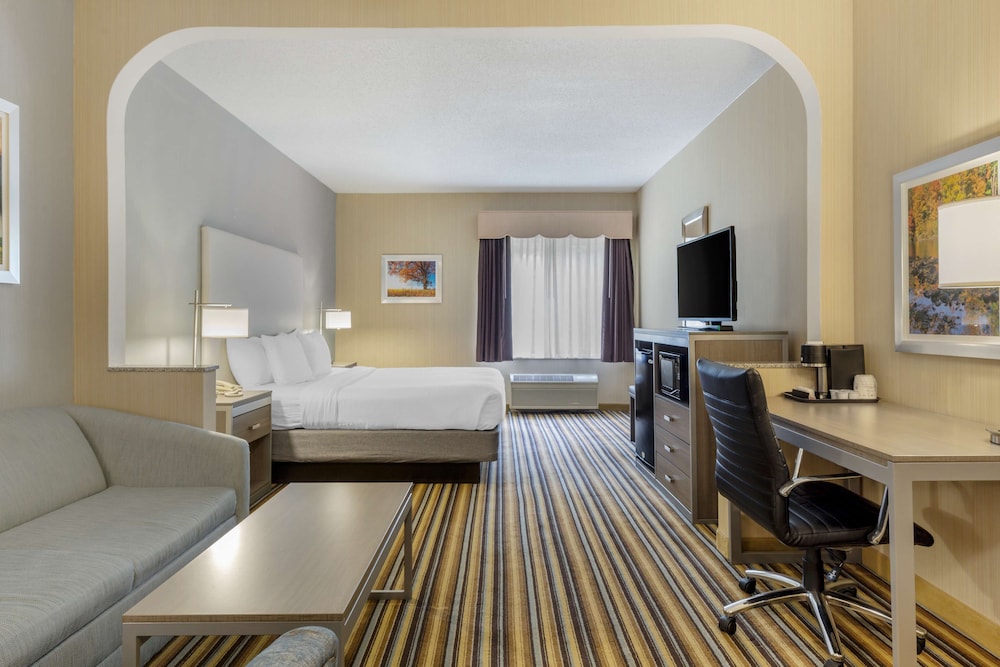 Suite, 1 King Bed, Non Smoking, Jetted Tub - Photo 4