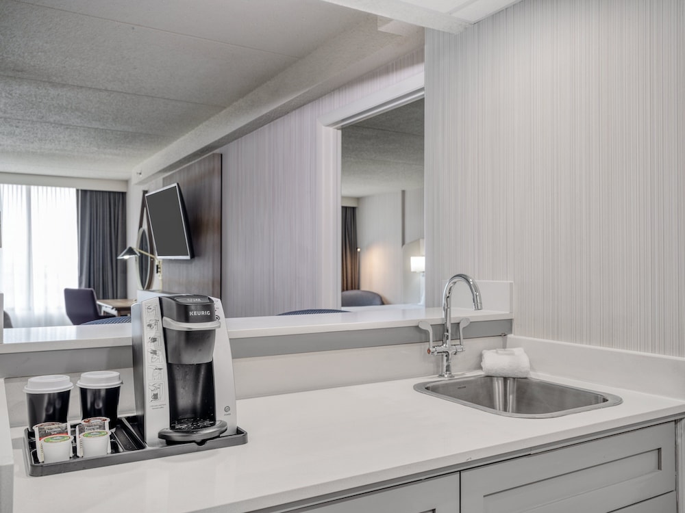 Suite, 1 Bedroom - Photo 1