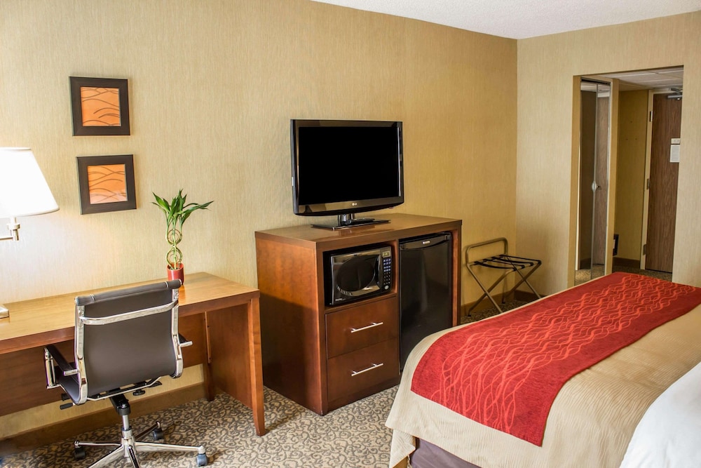 Standard Room, 1 King Bed, Non Smoking (No Pets) - Photo 4