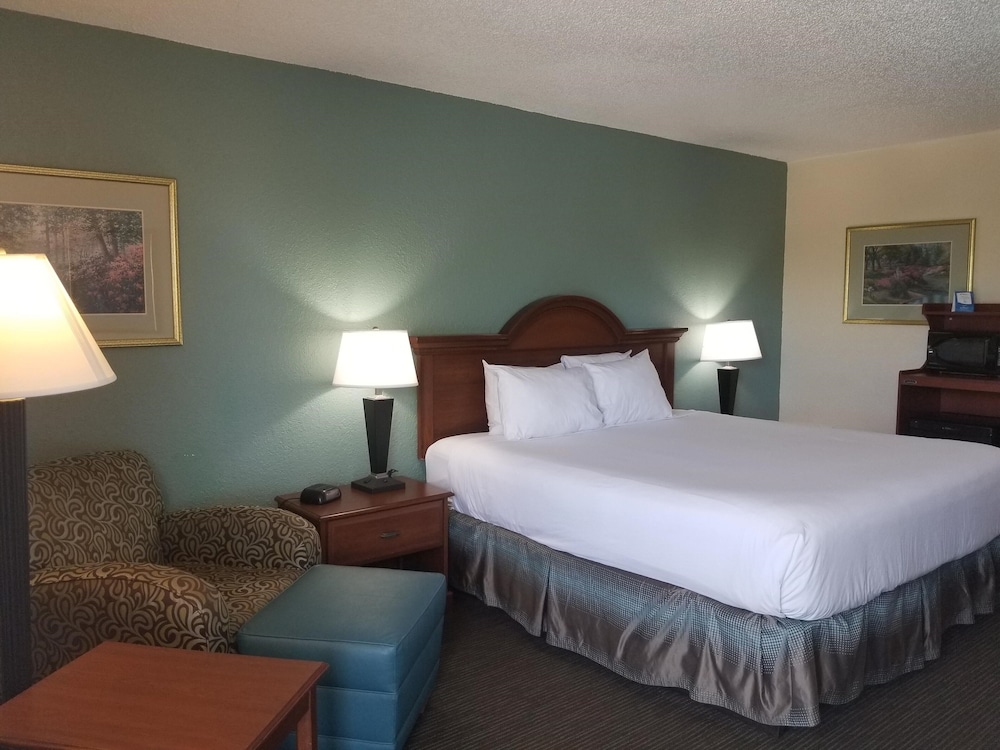 Room, 1 King Bed, Non Smoking, Pool View