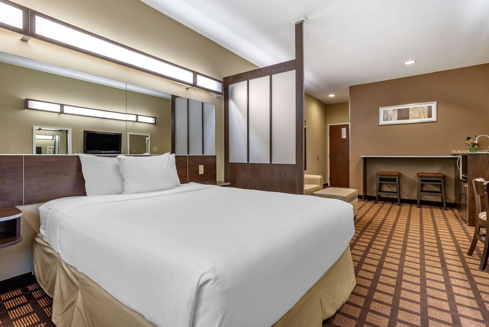 Studio Suite, 1 Queen Bed, Non Smoking photo 1