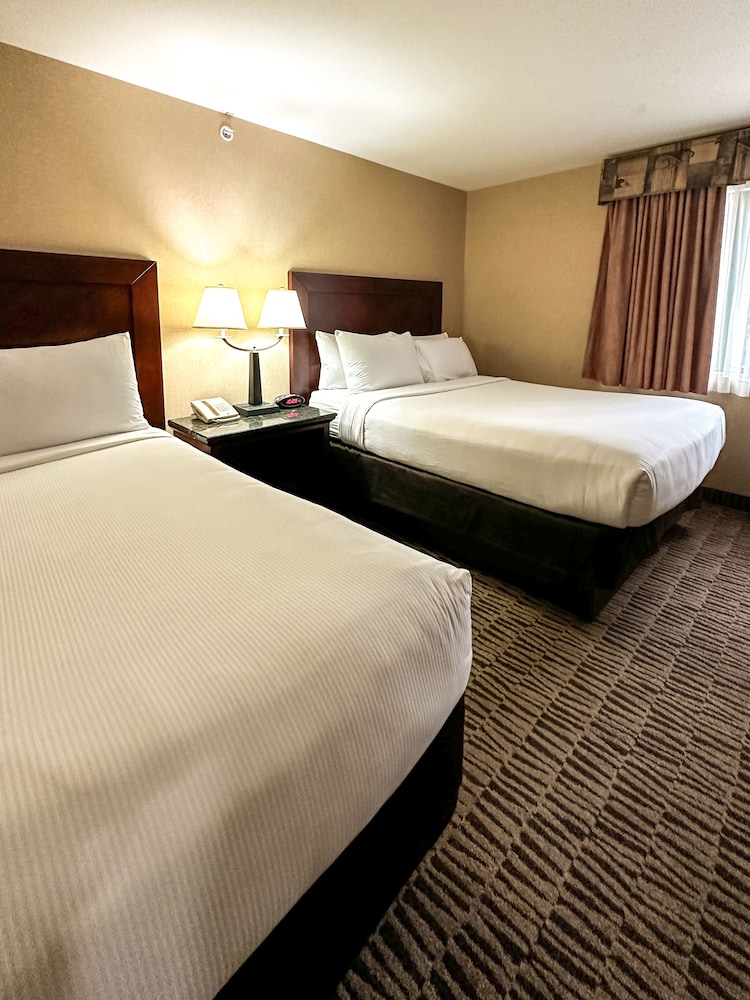 Standard Room - Photo 1
