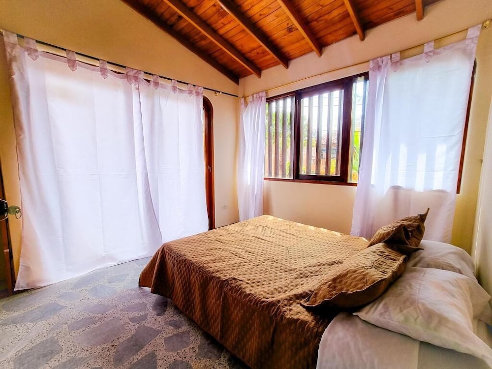 Traditional Room photo 1