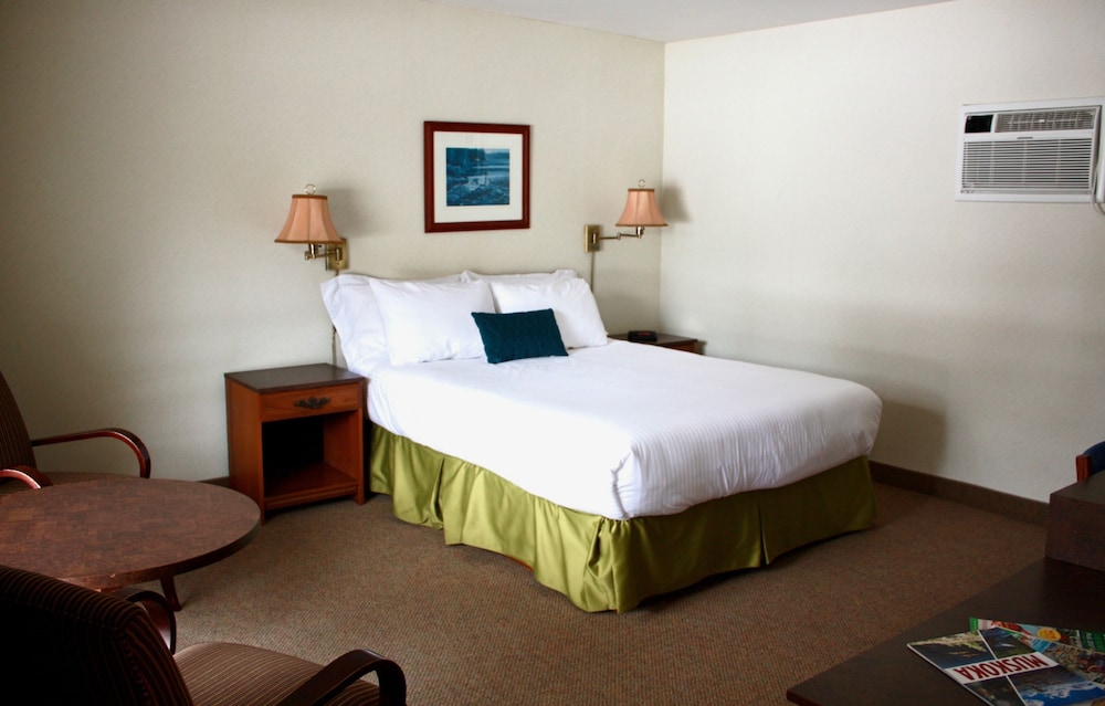 Superior Single Room, 1 Queen Bed photo 1