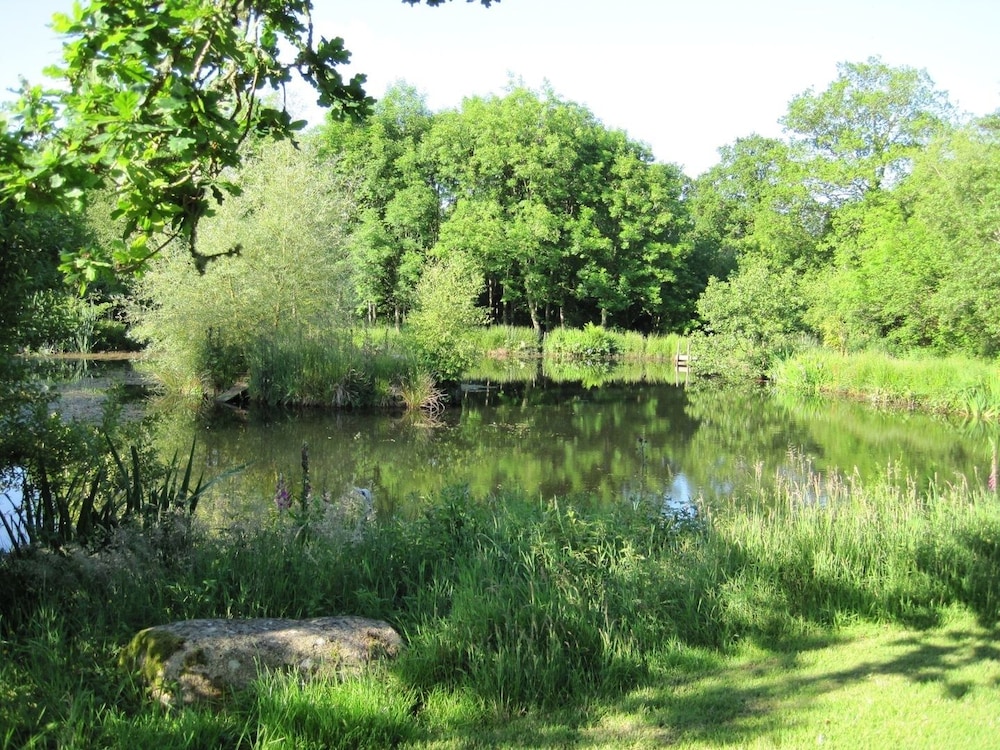 Cottage photo 1