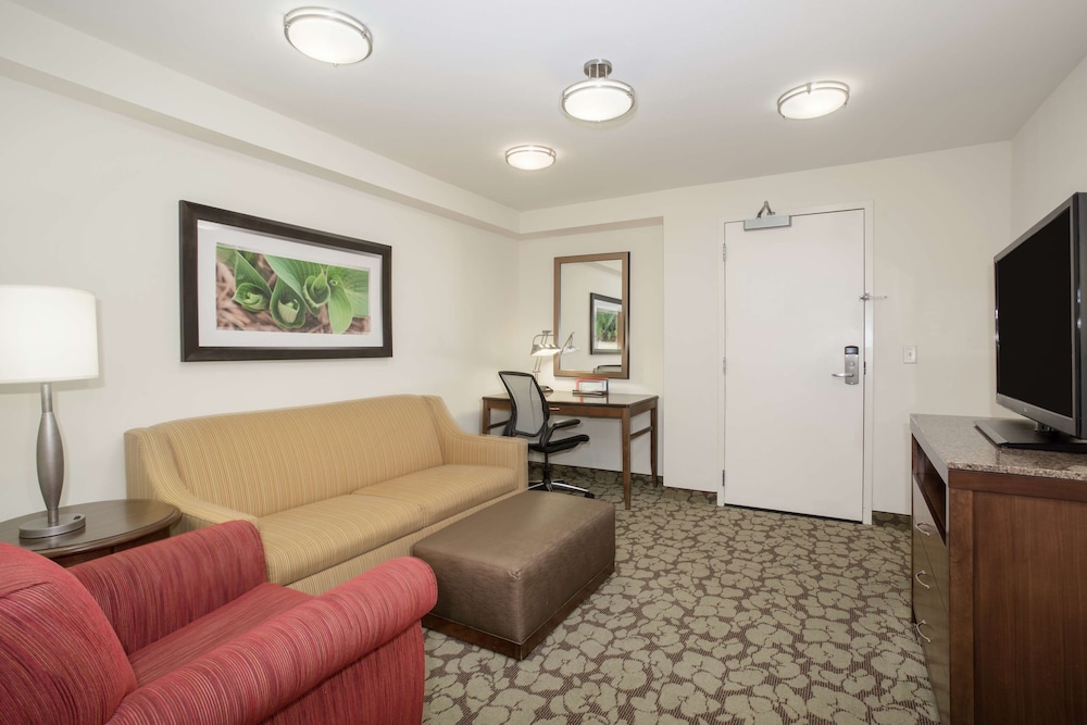 Suite, 1 King Bed, Non Smoking