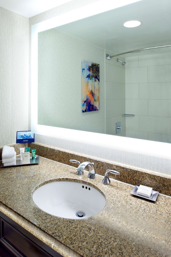 Room, 1 King Bed, Allergy Friendly (Pure Wellness) photo 3