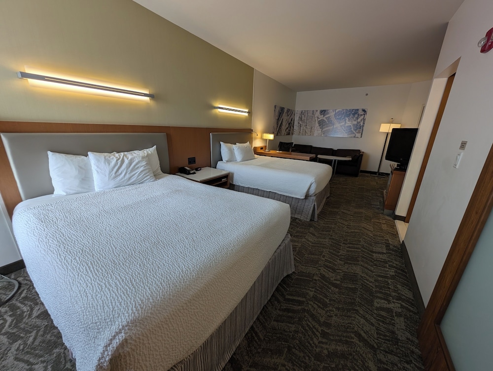 Studio, Multiple Beds - Photo 4