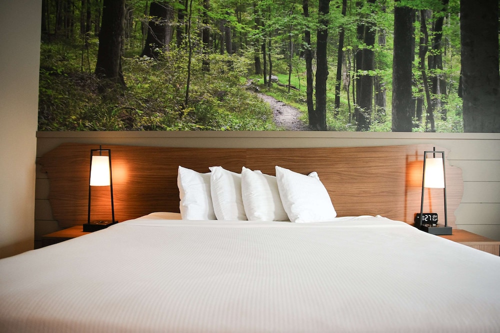 Standard Room, 1 King Bed, Accessible, Refrigerator & Microwave (Theme Room)
