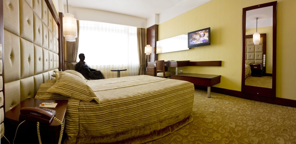 Basic Suite photo 2