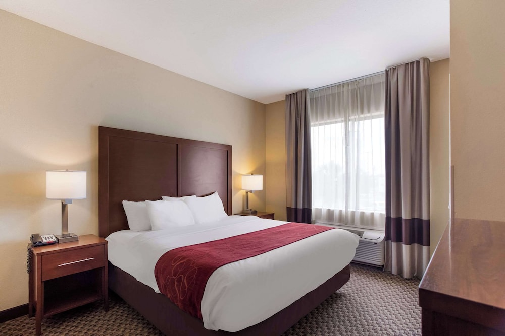 Suite, 1 King Bed, Non Smoking (One) - Photo 1