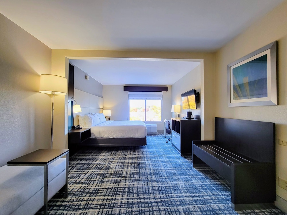 Standard Room, 1 King Bed, Accessible (Communications, Transfer Shower) - Photo 6