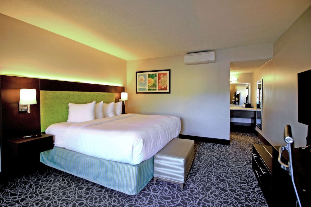 Standard Room, 1 King Bed, Non Smoking - Photo 8