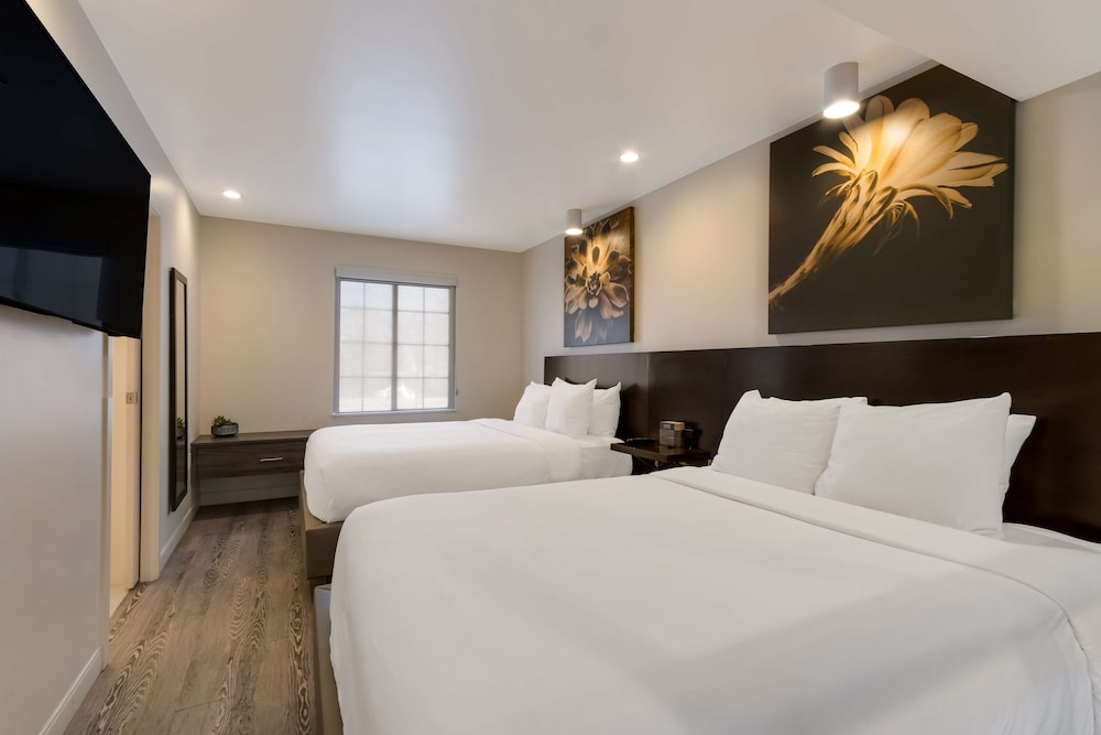 Suite, 2 Queen Beds, Non Smoking, Refrigerator & Microwave - Photo 4