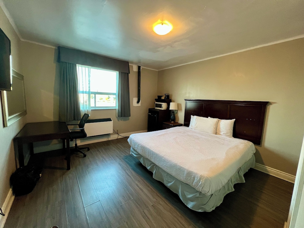 Single Room, 1 King Bed photo 1