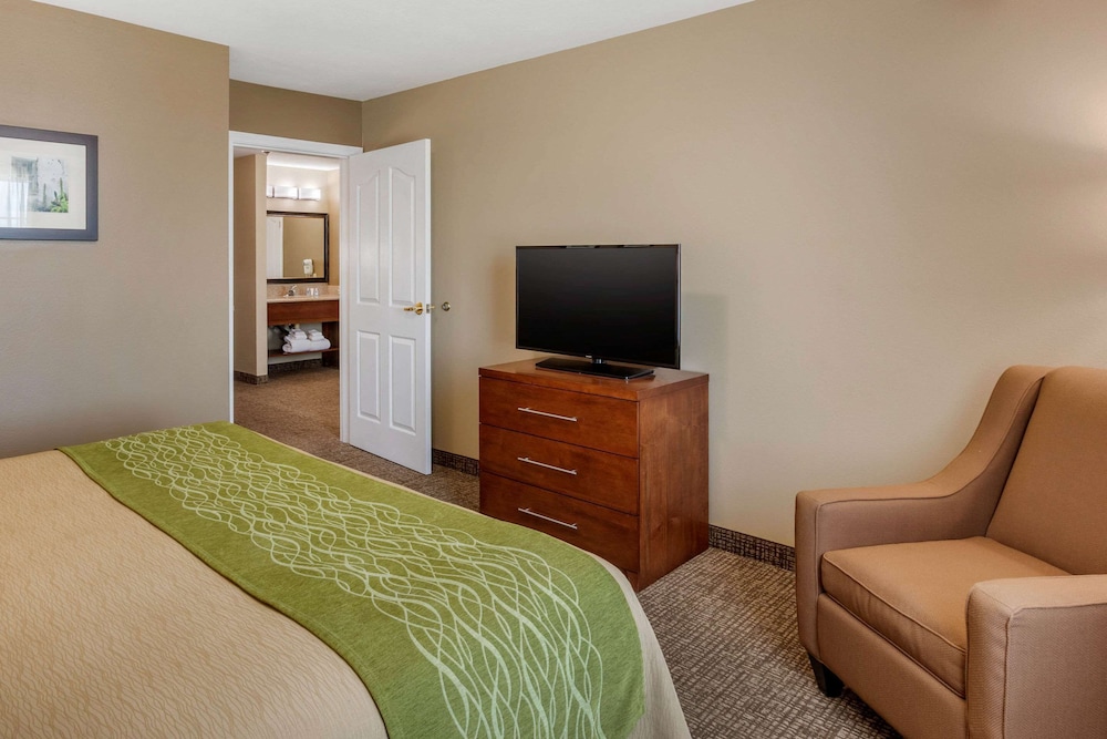 Suite, 1 King Bed with Sofa bed, Non Smoking (Living Room) - Photo 10