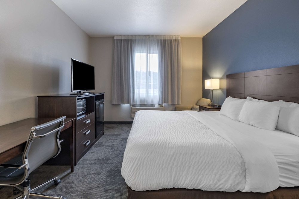 Business Room, 1 King Bed, Accessible, Non Smoking - Photo 6