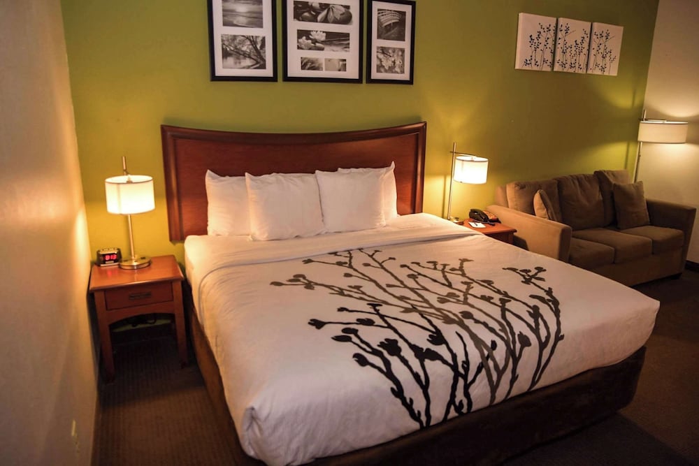 Standard Room, 1 King Bed, Non Smoking photo 1