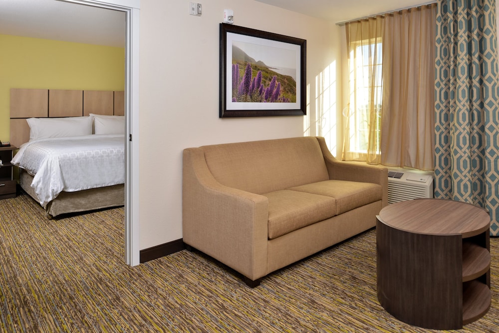 Suite, 1 King Bed, Accessible (Mobility, Accessible Tub) photo 3