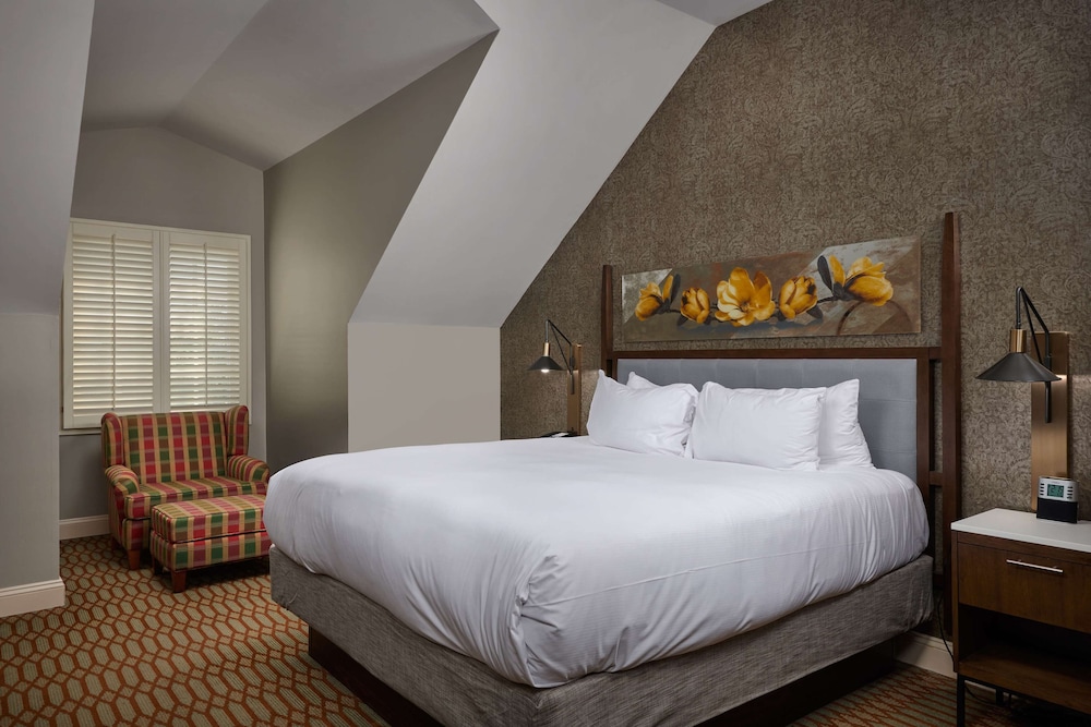 Deluxe Suite - Photo 1