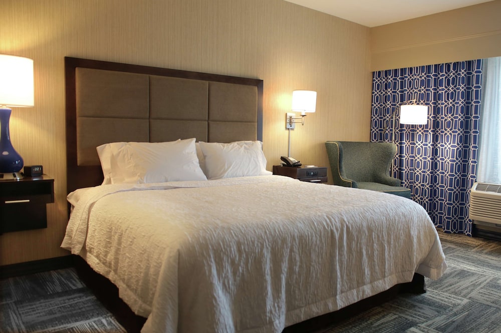 Room, 1 King Bed, Refrigerator