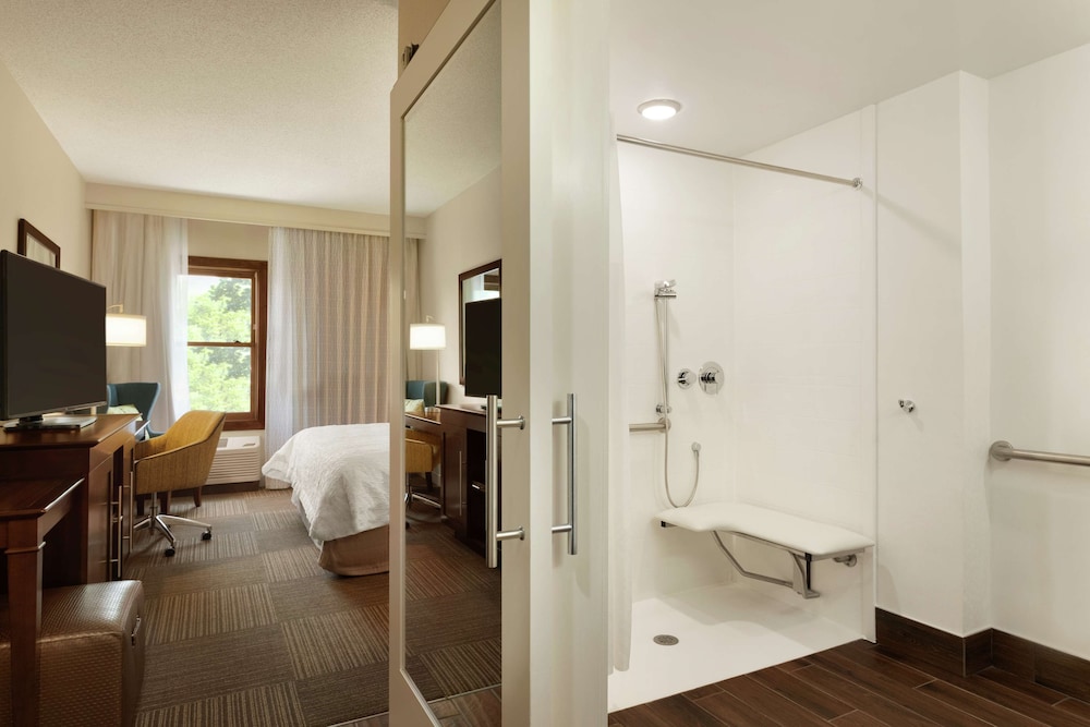 Room, 1 King Bed, Accessible (Roll-In Shower) - Photo 5