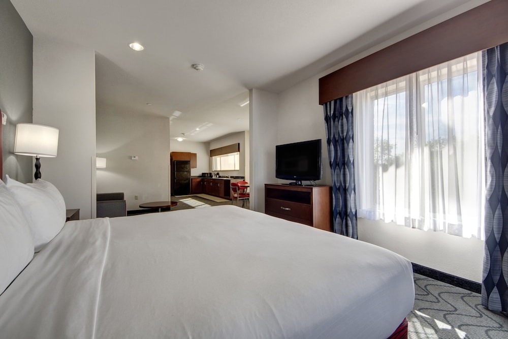 Suite, 1 King Bed, Accessible (Communications, Mobility, Access Tub) photo 1