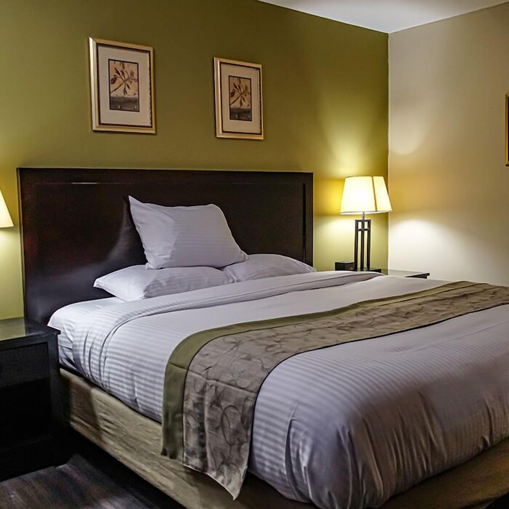 Standard Single Room photo 3