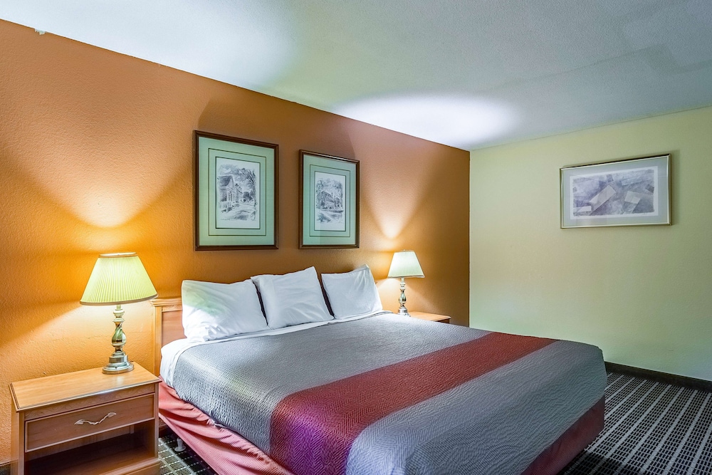 Deluxe Room, 1 King Bed, Non Smoking, Refrigerator & Microwave - Photo 10