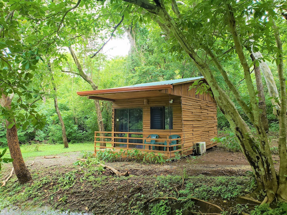 Classic Cabin, 2 Double Beds, Terrace photo 3