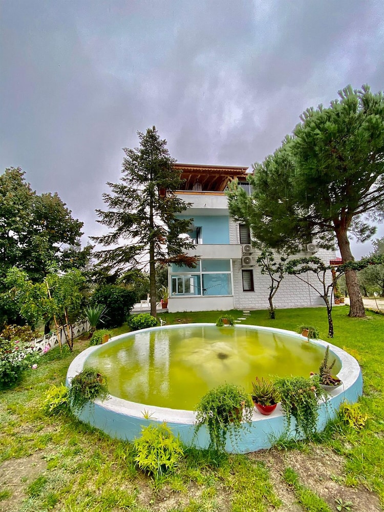 Dag Evi photo 2
