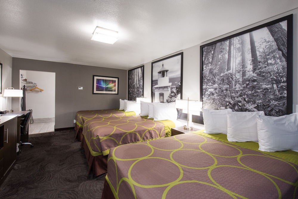Room, Multiple Beds, Non Smoking photo 1