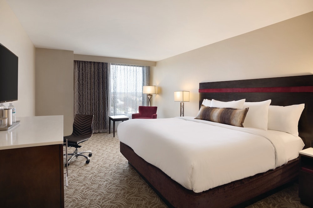Suite, 1 King Bed with Sofa bed photo 3