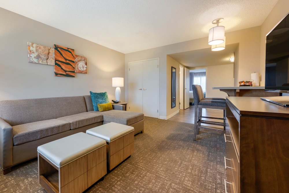 Suite, 1 Bedroom, Kitchen photo 1