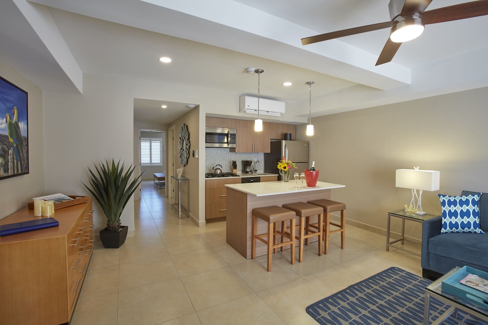 Suite, 1 Bedroom - Photo 4