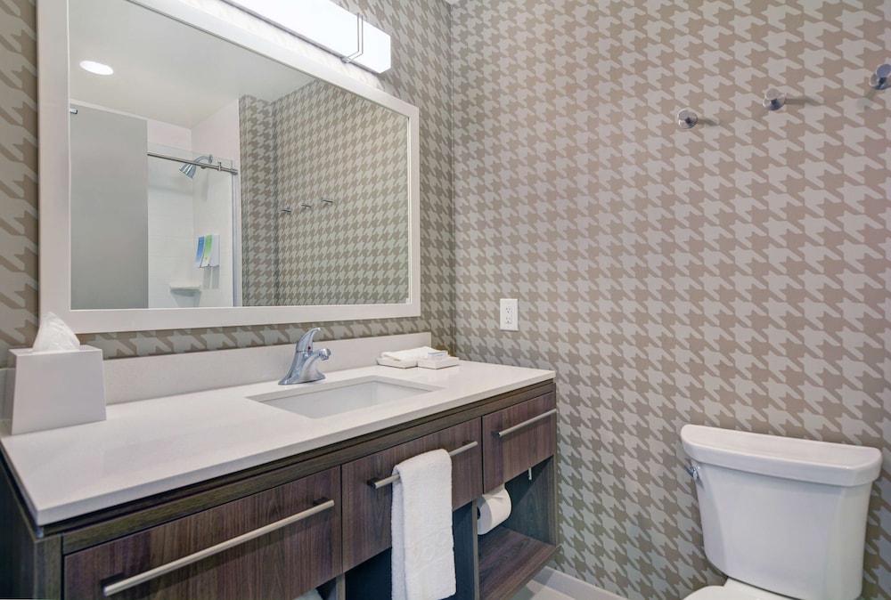 Studio, 1 King Bed, Accessible (Roll-In Shower) - Photo 12