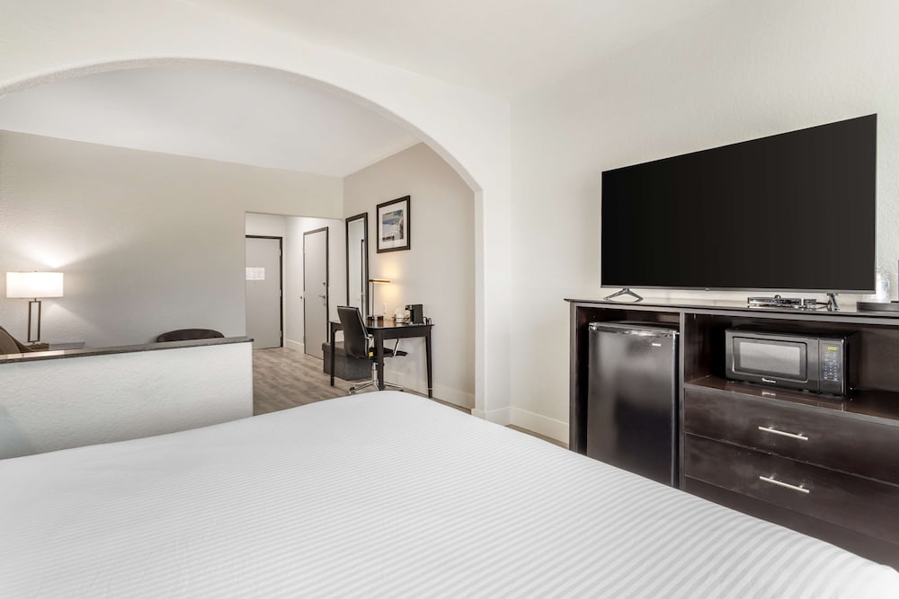 Suite, 1 King Bed, Non Smoking, Refrigerator & Microwave (with Sofabed) - Photo 4