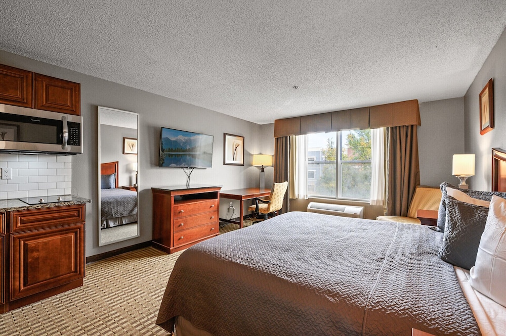 Standard Suite, 1 King Bed, Kitchen (Jetted Tub) - Photo 4
