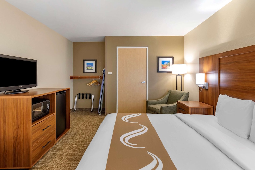Room, 1 King Bed, Non Smoking photo 3