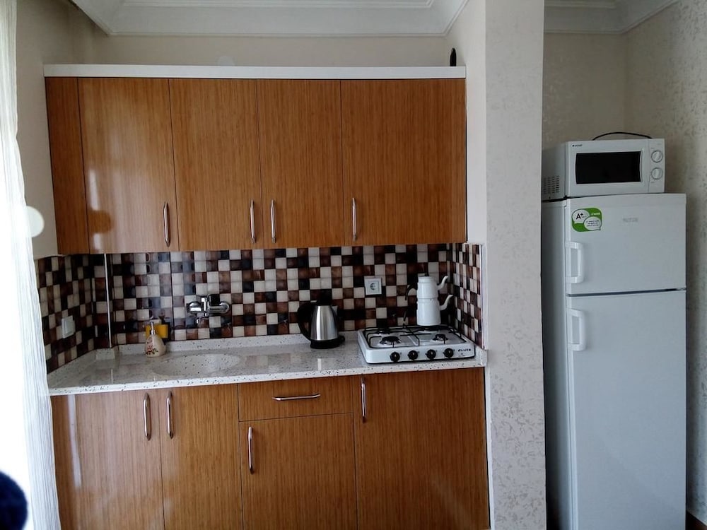 Apartment, 1 Bedroom photo 2