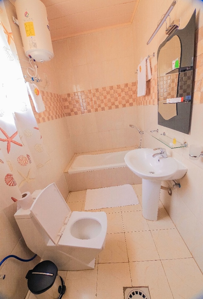 Deluxe Double or Twin Room photo 3