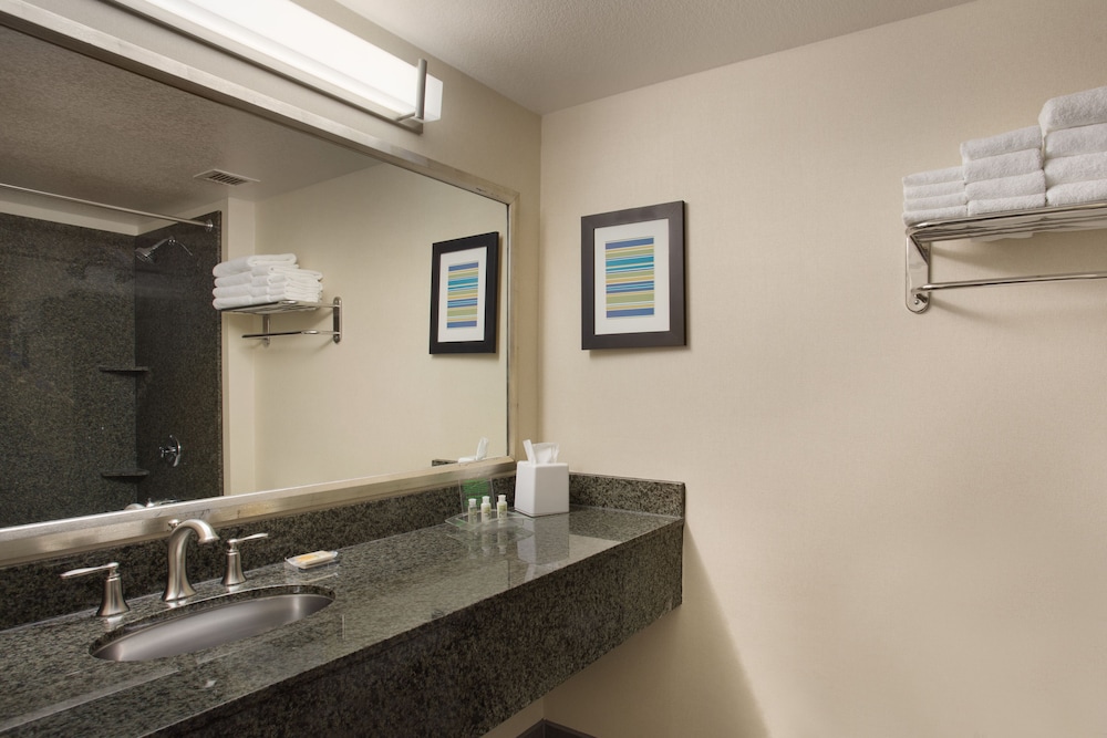 Suite, 1 Bedroom - Photo 6