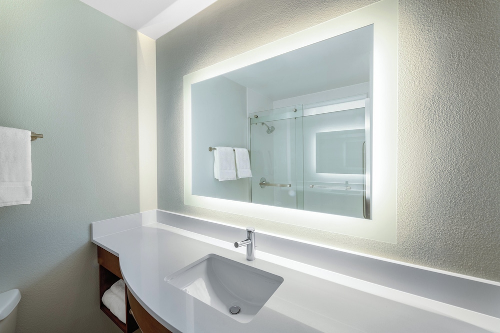 Suite, 1 Bedroom, Accessible - Photo 7