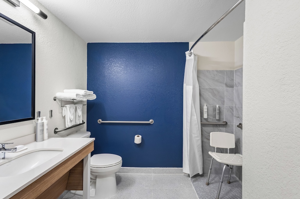 Room, 1 King Bed, Accessible (Roll-In Shower) - Photo 3
