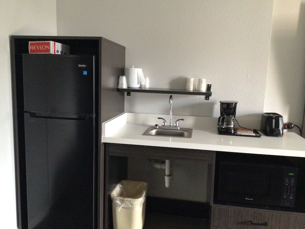 Standard Suite, 1 King Bed, Smoking, Kitchenette - Photo 4