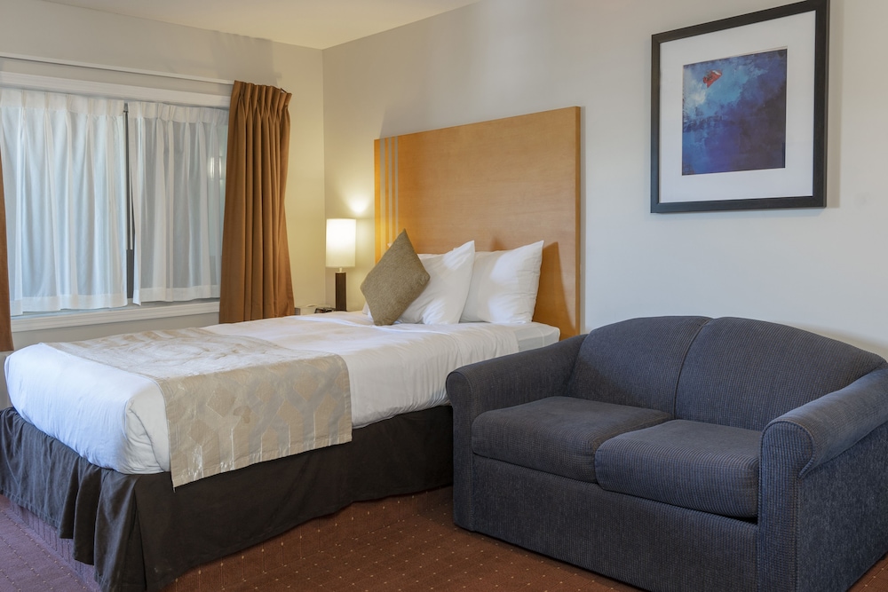 Comfort Suite, Multiple Beds (Coast Premium King Suite)