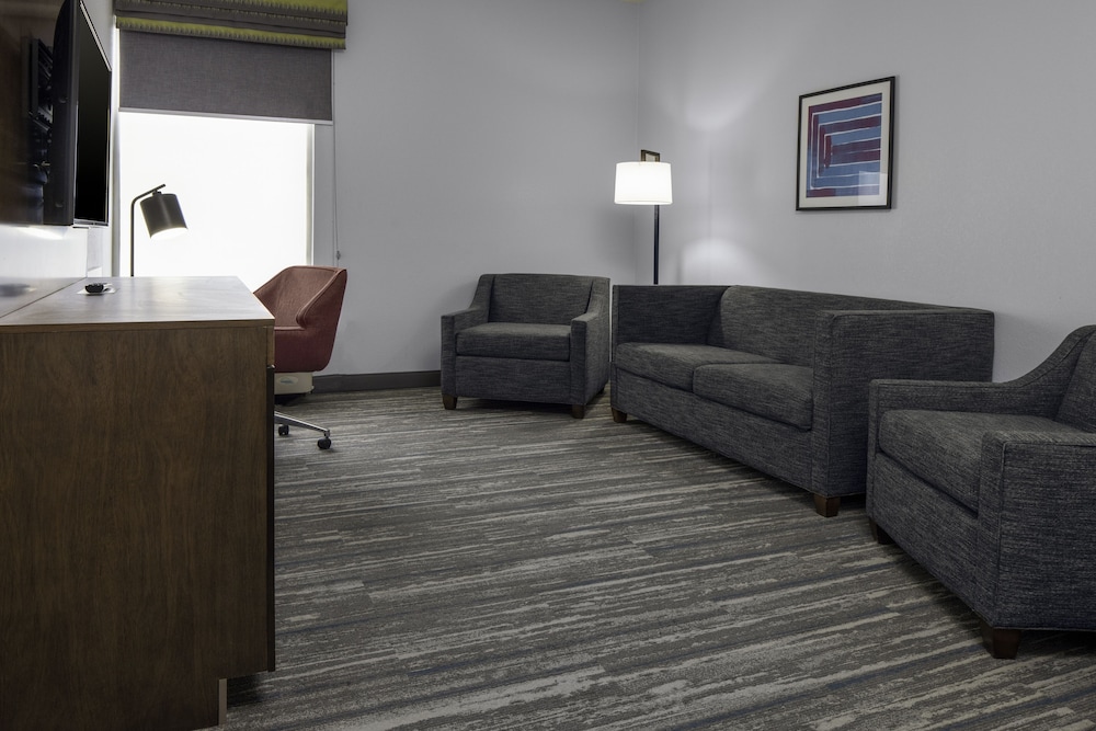 Suite, 1 King Bed, Accessible (Roll-In Shower) - Photo 1