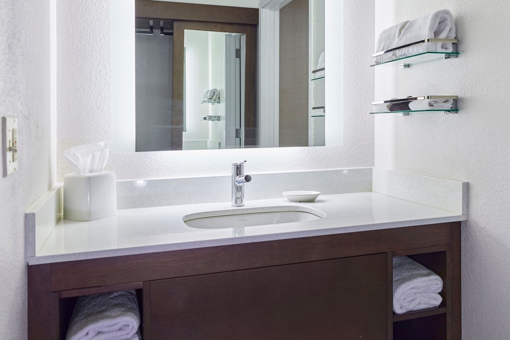 Suite, 1 Bedroom - Photo 7