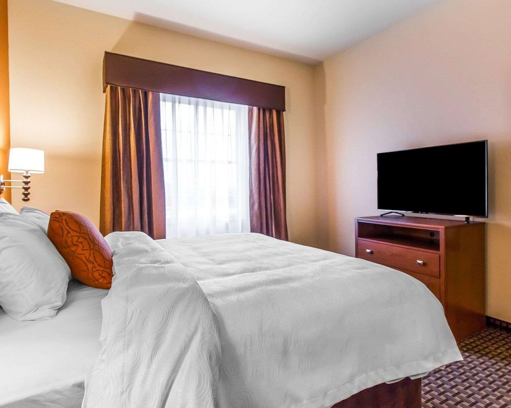 Efficiency, 1 King Bed with Sofa bed, Non Smoking photo 2
